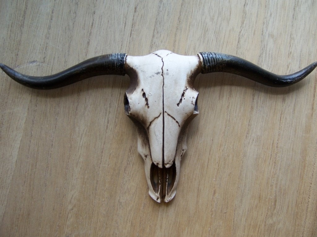 SALE skull, Huis en Inrichting, Ophalen of Verzenden, Nieuw