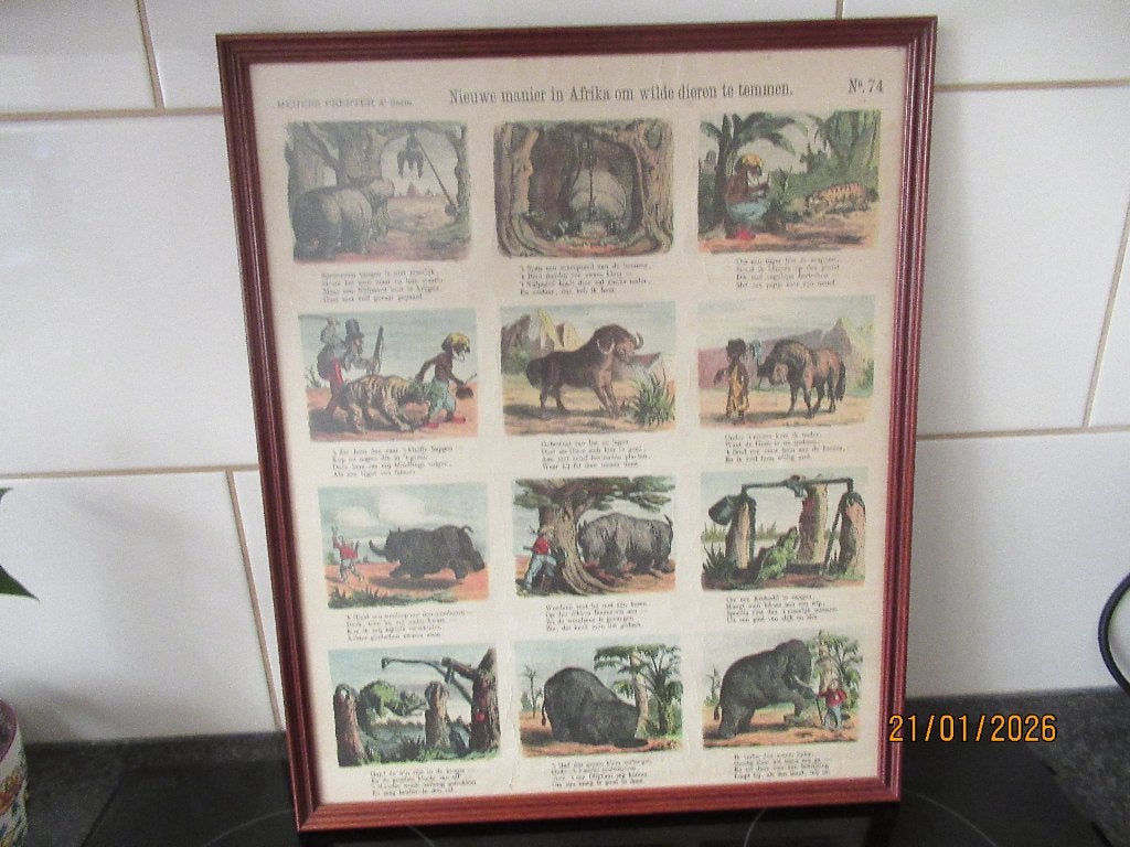 MEIJERS PRENT-NIEUWE MANIER AFRIKA WILDE DIEREN TEMMEN-1881, Antiek en Kunst, 1800 - 1899, 35 cm, Ophalen of Verzenden, Ingelijst