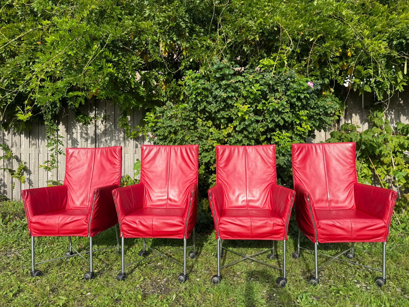 Montis Chaplin stoel rood leer, Ophalen, Gebruikt, Design, Leer