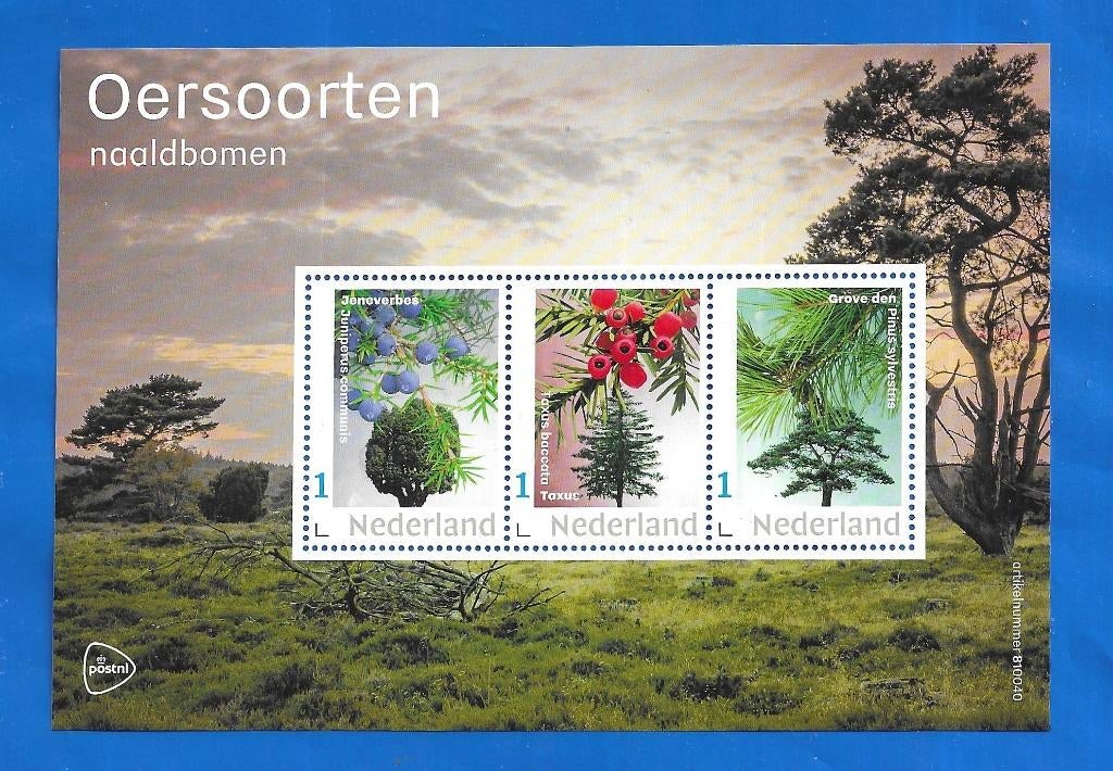 V3642P Oersoorten, Loofbomen - 2023 No. 6, Verzenden, Na 1940, Postfris