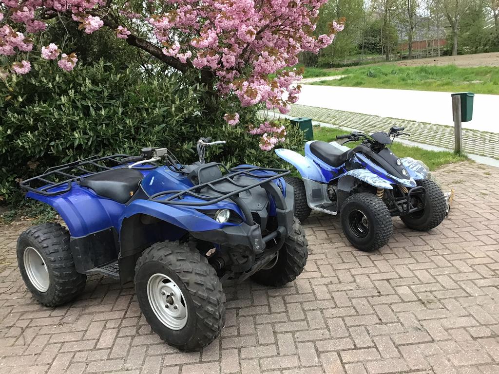 Quart - 1 x Yamaha 450 CC - Iseki mini trekker- Toro maaier, Motoren, Quads en Trikes, 2 cilinders, 12 t/m 35 kW