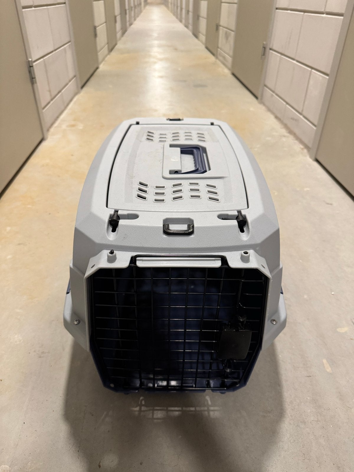 Robust Plastic Pet Carrier for Cat or Small Dog, Ophalen, Nieuw