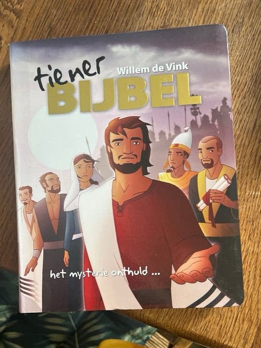 Tienerbijbel - Het mysterie onthuld door Willem de Vink, Ophalen of Verzenden, Zo goed als nieuw, Non-fictie