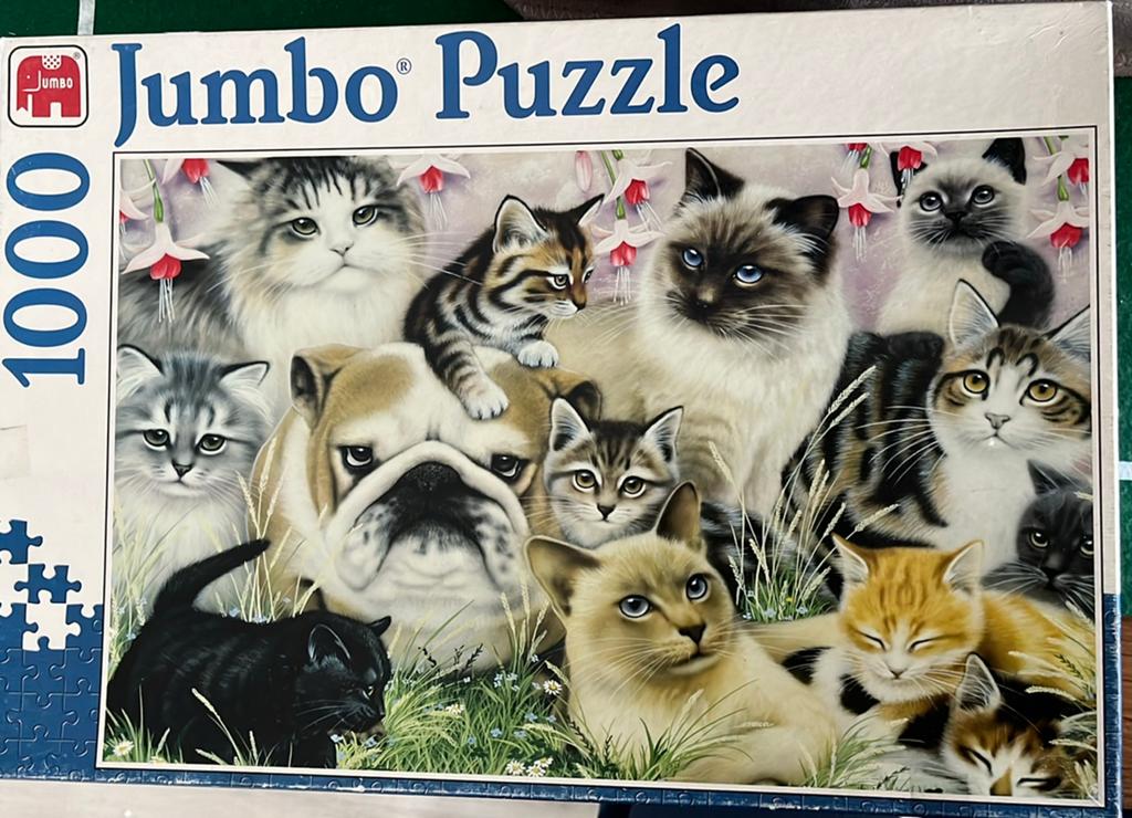 Puzzel katten en hond 1000 stuk - Compleet, Ophalen, 500 t/m 1500 stukjes, Zo goed als nieuw