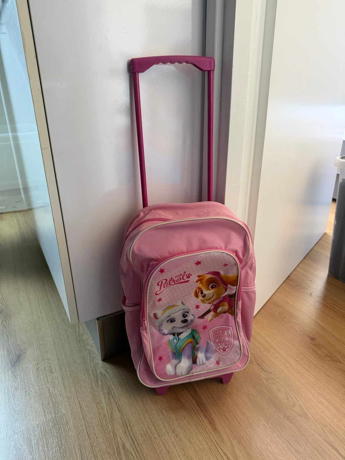Paw Patrol Skye & Everest Kinder Trolley/Reisrugzak, Disney of Dora, 25 tot 40 cm, Ophalen of Verzenden, Zo goed als nieuw