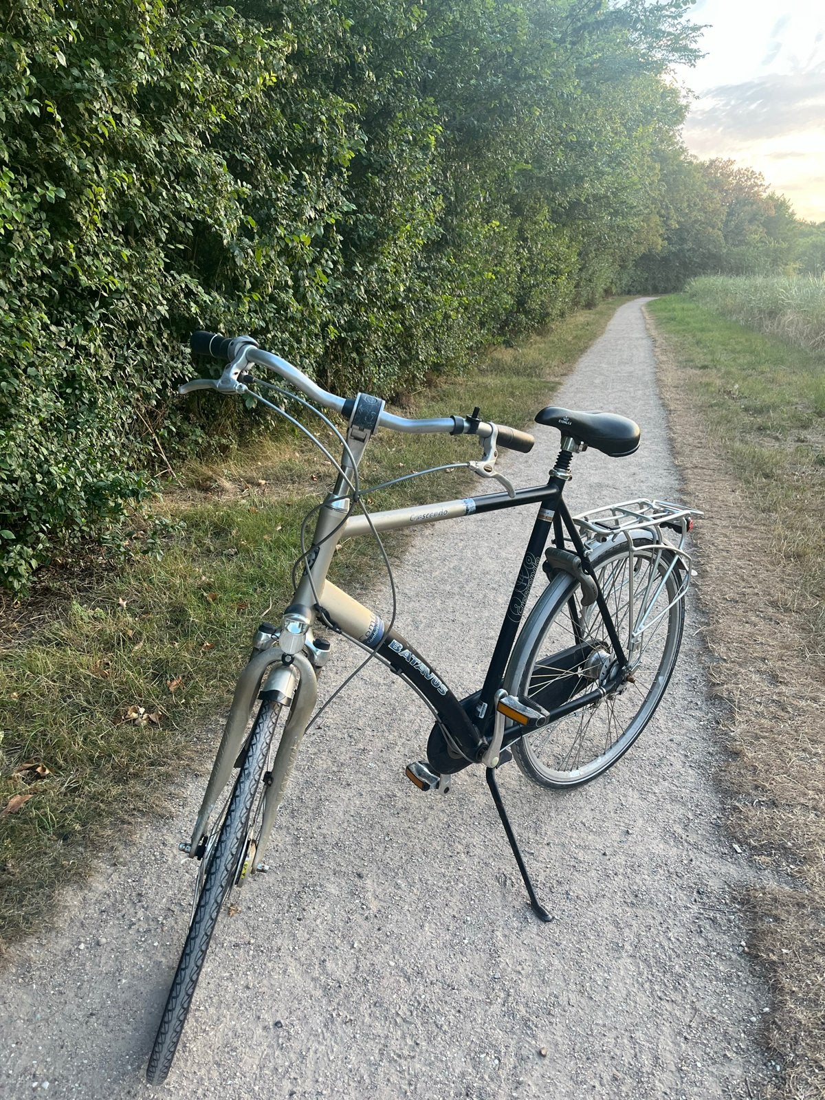 Batavus herenfiets - 28 inch, 7 versnellingen, Ophalen, Gebruikt, Batavus, Versnellingen