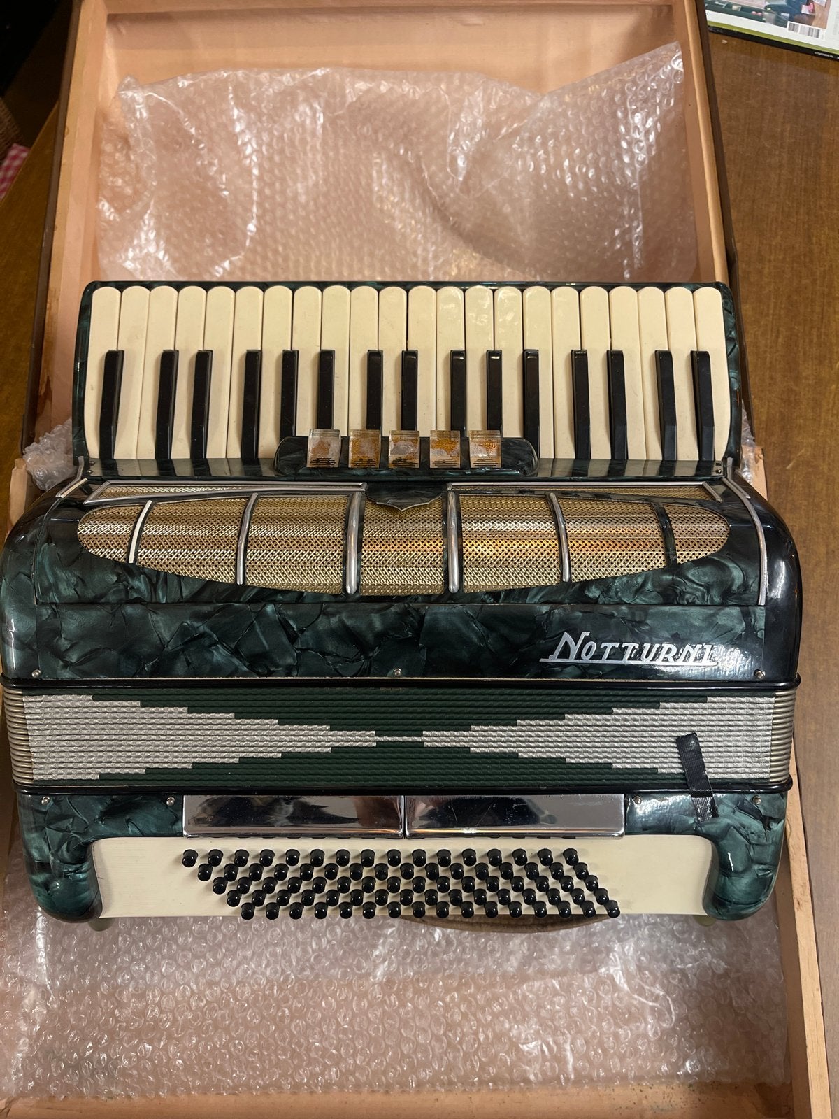 Italiaanse - Notturni Accordeon - met koffer + riemen, groen, Muziek en Instrumenten, Overige merken, Zo goed als nieuw, Met koffer