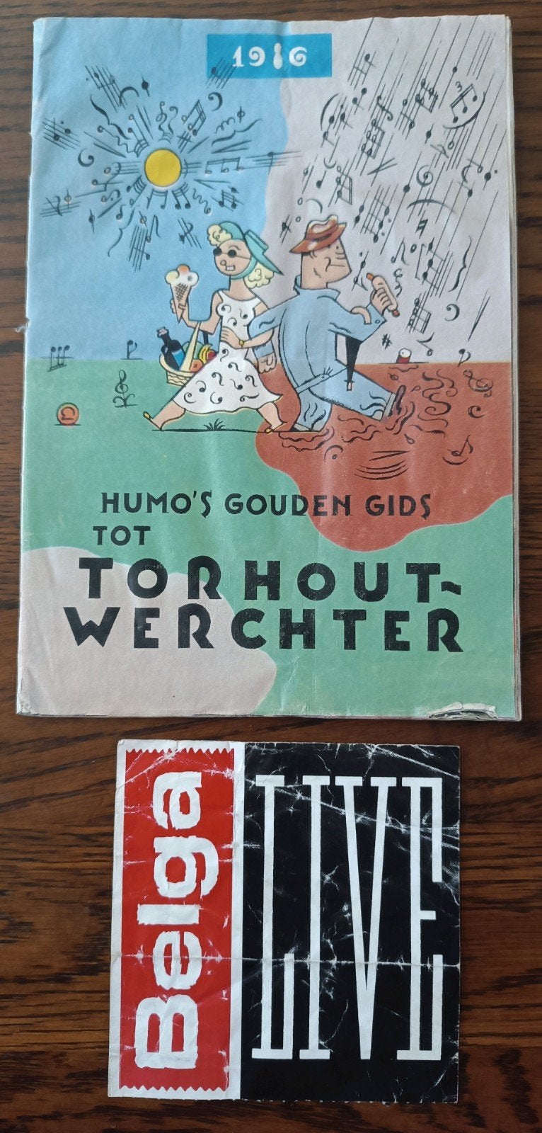 Humo's Gouden Gids Torhout-Werchter 1986 + Toegangskaartje, Ophalen of Verzenden, Gelezen, Overige typen