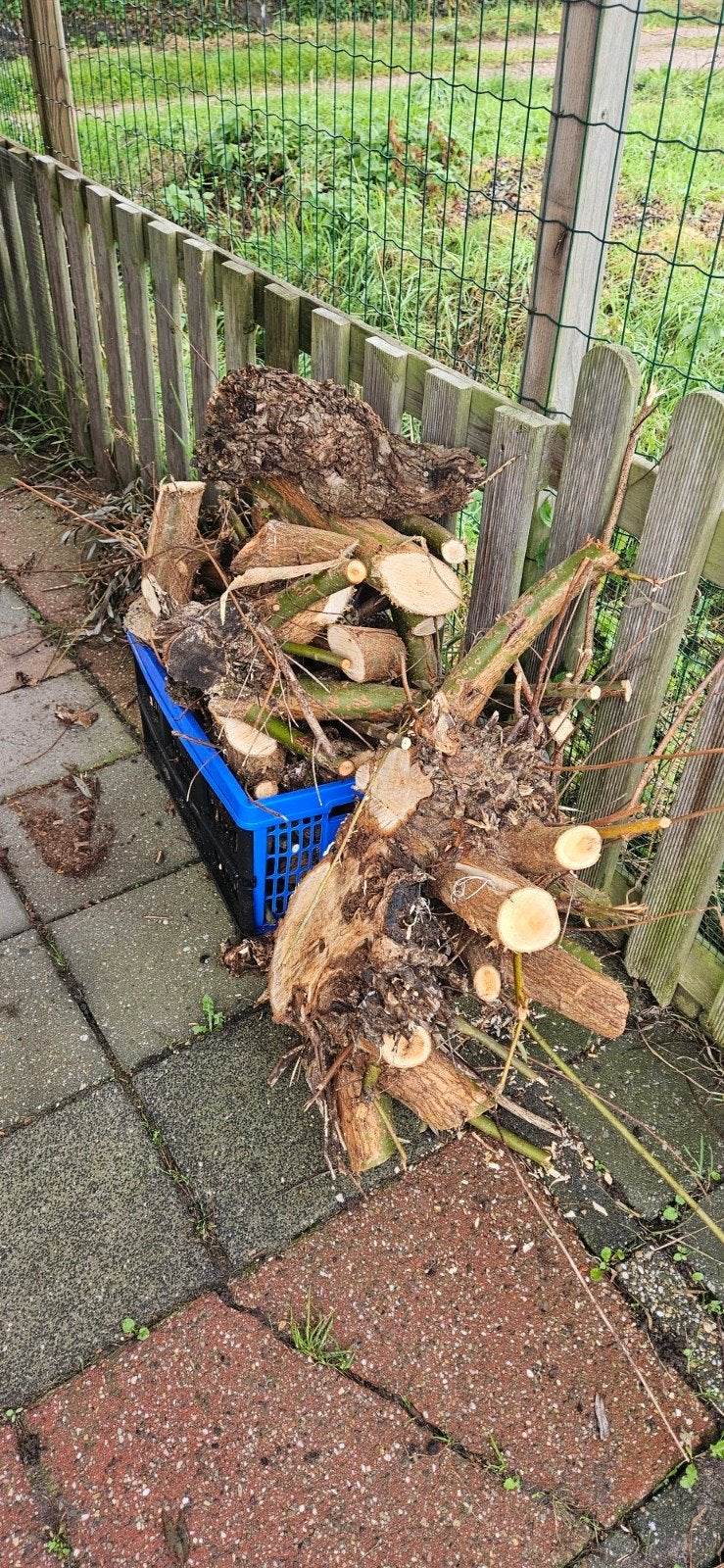 Diverse houtblokken en takken voor brandhout of decoratie, Minder dan 3 m³, Ophalen, Overige houtsoorten, Blokken