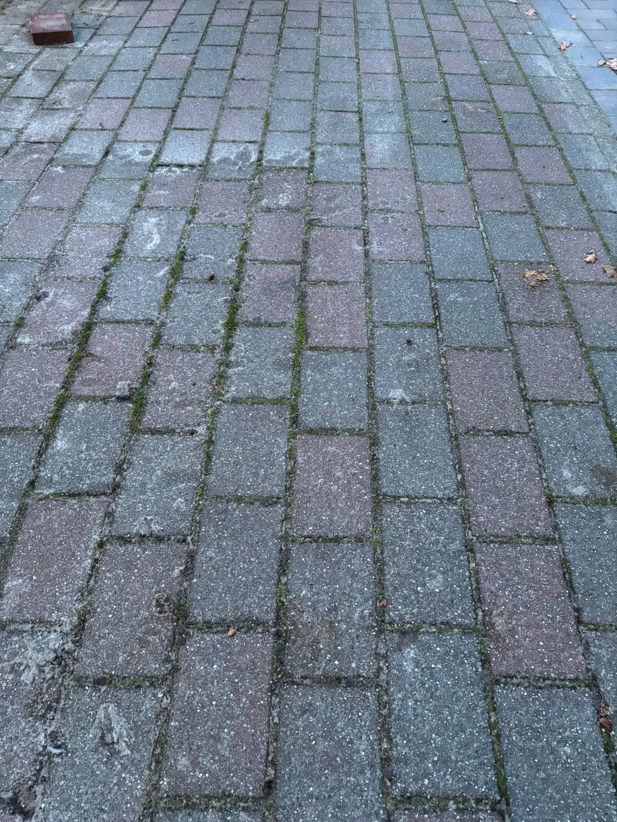 Gratis! 70m2, Tuin en Terras, Ophalen, Zo goed als nieuw, Beton, Terrastegels