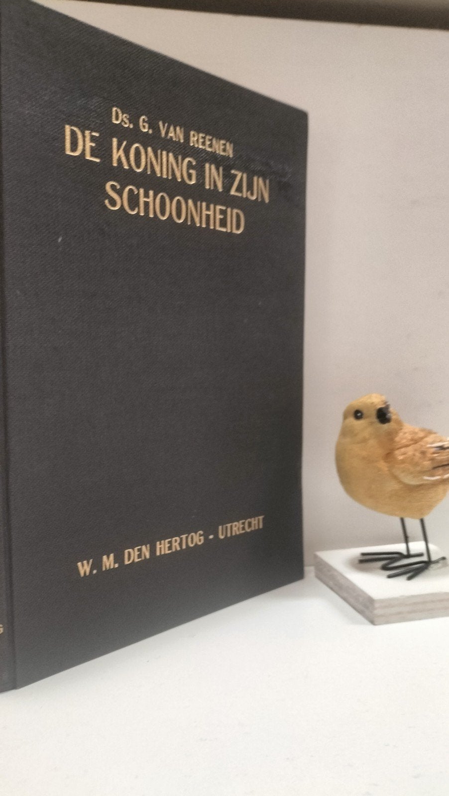 Reenen, Ds. G. van ; De Koning in Zijn schoonheid, Ophalen of Verzenden, Gelezen, Christendom | Protestants