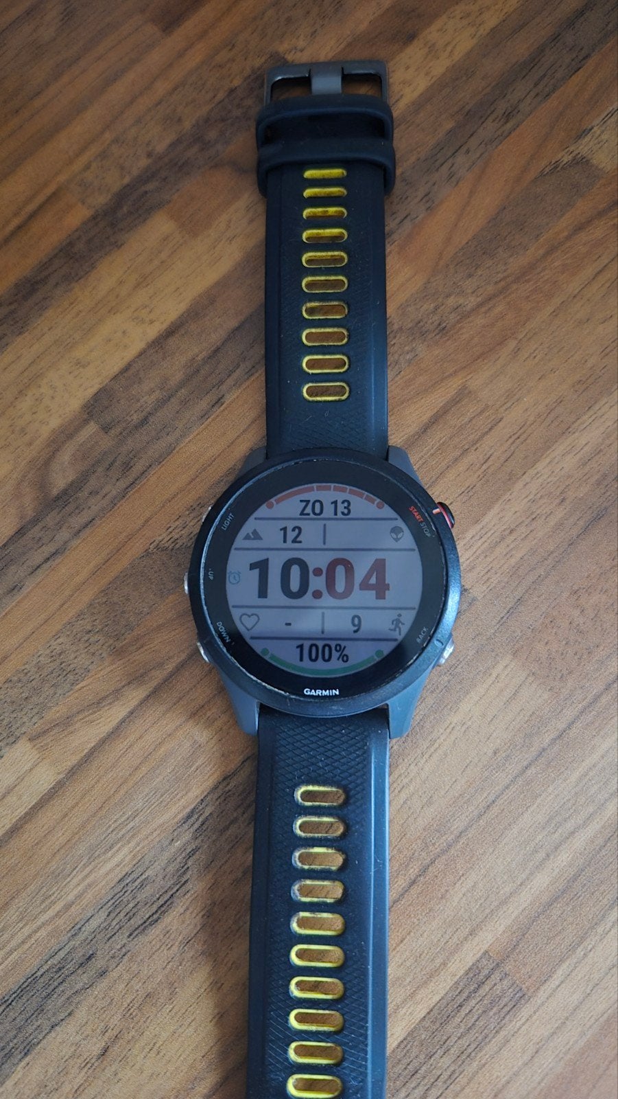 Garmin Forerunner 255 GPS Hardloop Smartwatch, Ophalen, Gebruikt, Zwart, Garmin