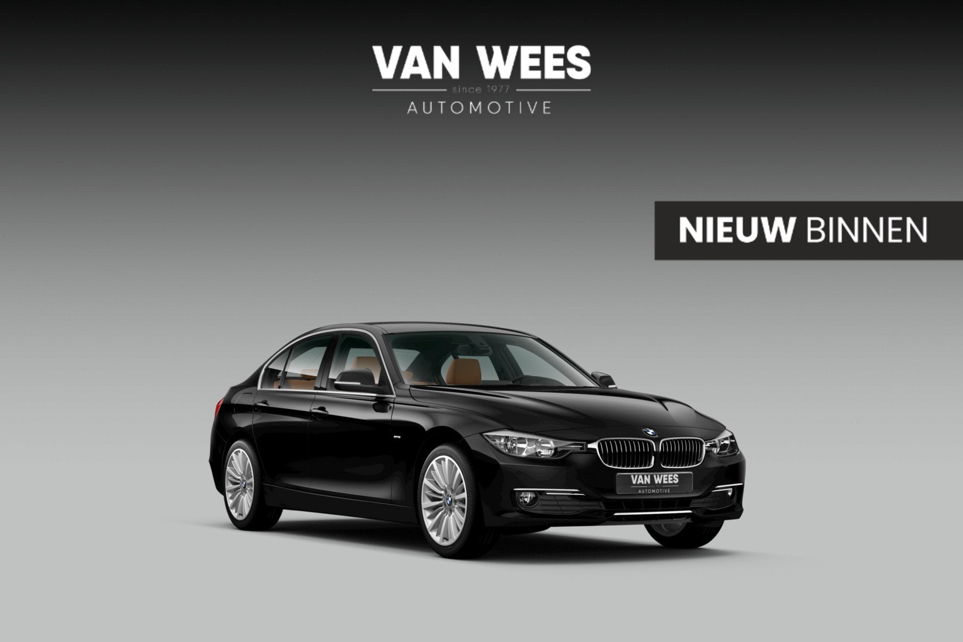 BMW 3-serie 316i Executive | Luxury Line | Sportstuur | Crui, Auto's, BMW, Bedrijf, Te koop, 3-Serie, ABS, Airbags, Airconditioning