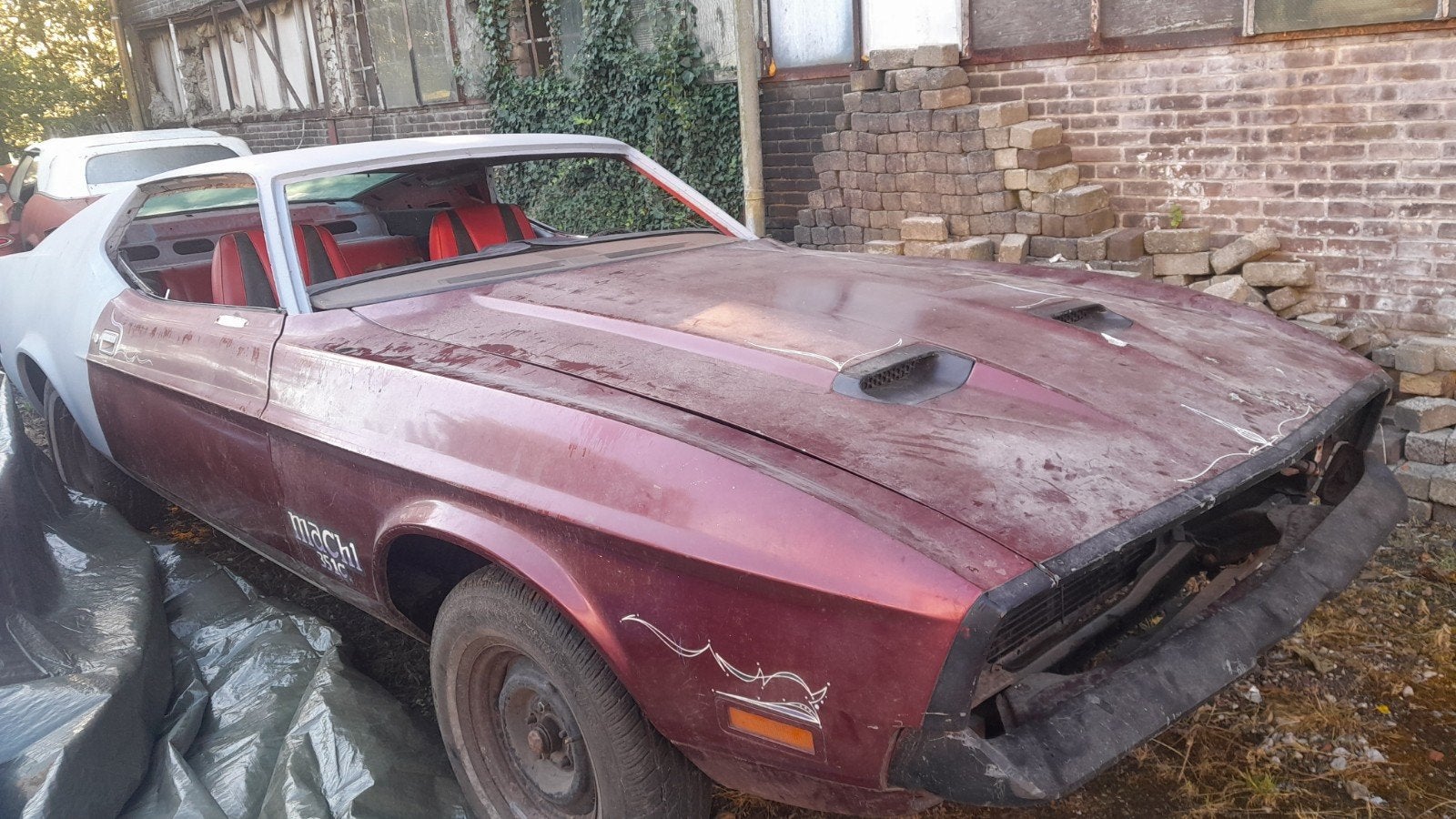 mustang mach1 roestvrij nederlands kenteken, Ophalen of Verzenden