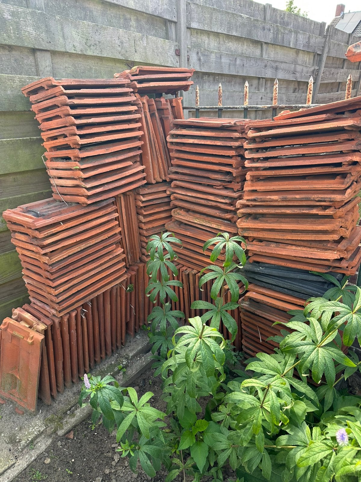 +- 600 stuks Mulden dakpannen in 2 kleuren, Ophalen, Gebruikt, Steen of Klei, 15 m² of meer