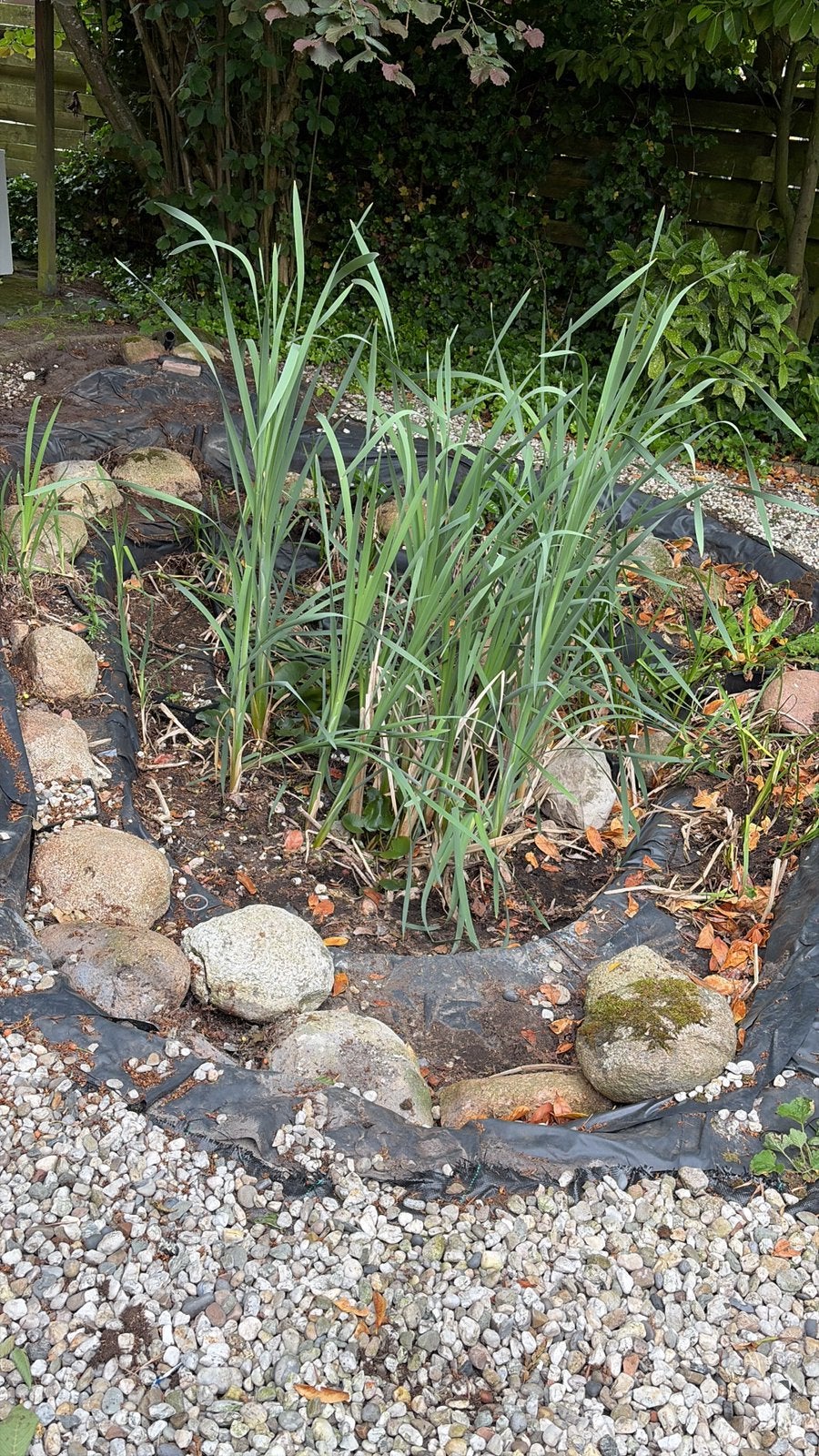Vijver planten en sierkeien, Ophalen, Zo goed als nieuw