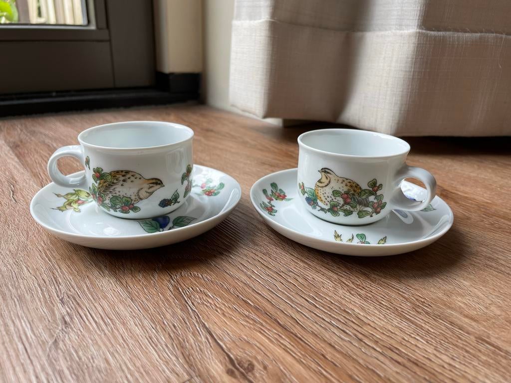 Hutschenreuther Tavola servies: 2 kopjes met schotels, Ophalen of Verzenden