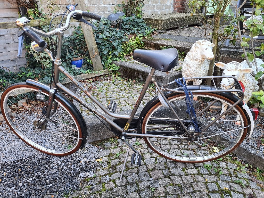 Damesfiets, Gebruikt, (Extra) lage instap, 50 tot 53 cm, Ophalen
