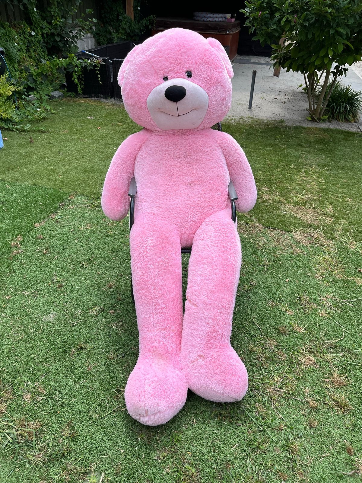 Grote roze teddybeer - knuffelbeer, Ophalen, Overige merken, Overige karakters, Beer