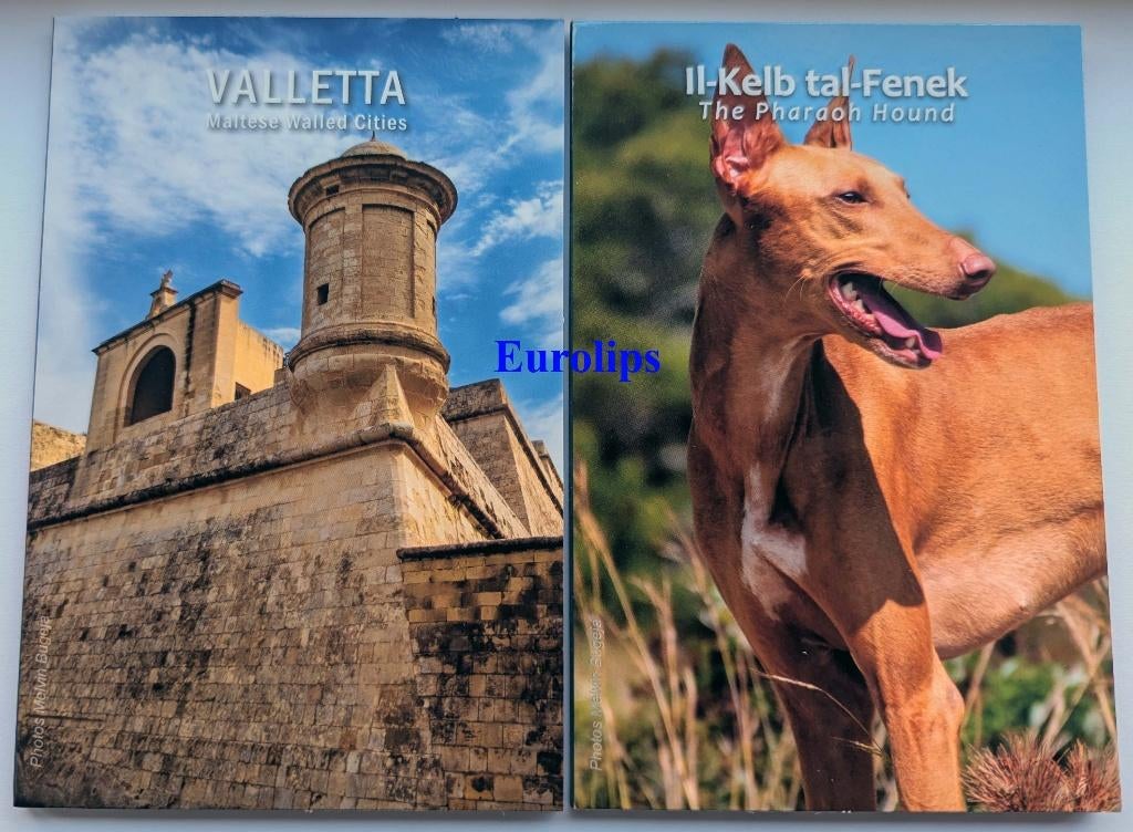 Malta speciale 2 euro 2026 Valletta + Hond BU in Coincard, Verzenden, Malta, 2 euro