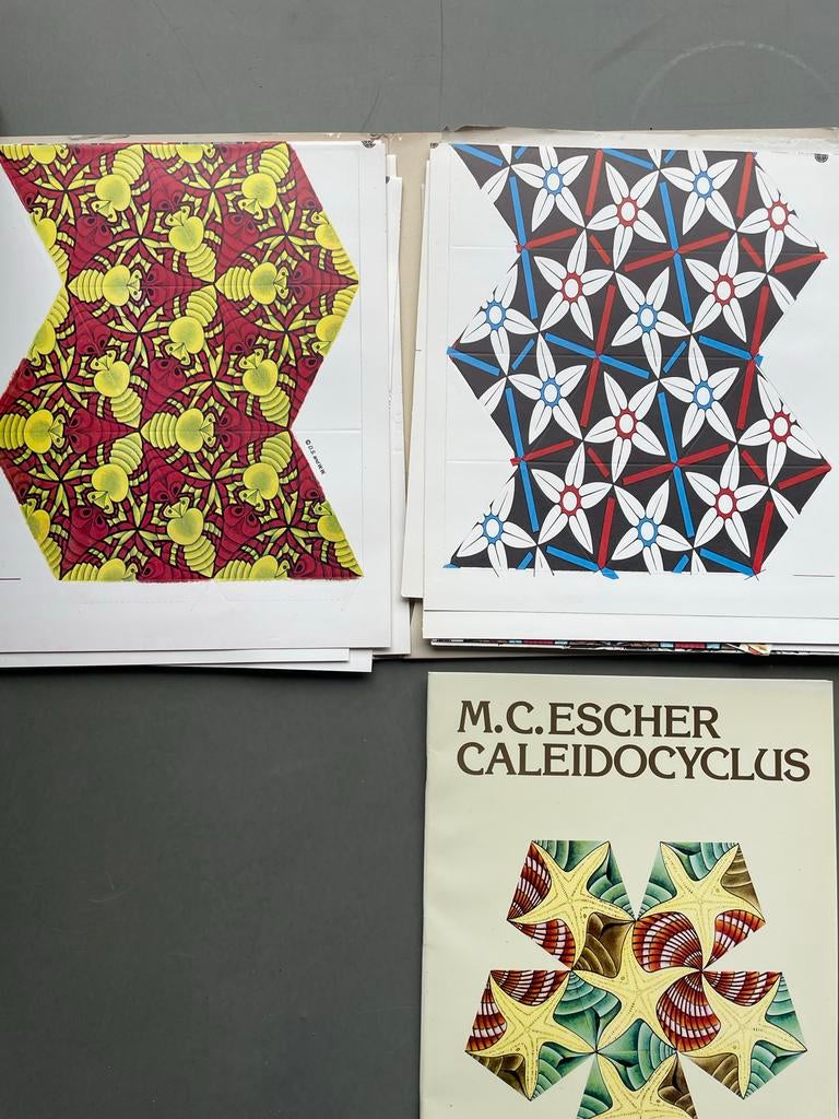 M.C. Escher Caleidocyclus - Bewegende objecten, Boeken, Kunst en Cultuur | Fotografie en Design, Gelezen, Overige onderwerpen