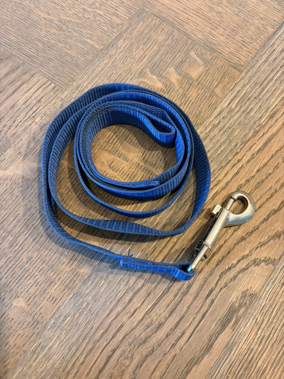 Blauwe honden riem, Ophalen of Verzenden, Zo goed als nieuw, Hondenriem