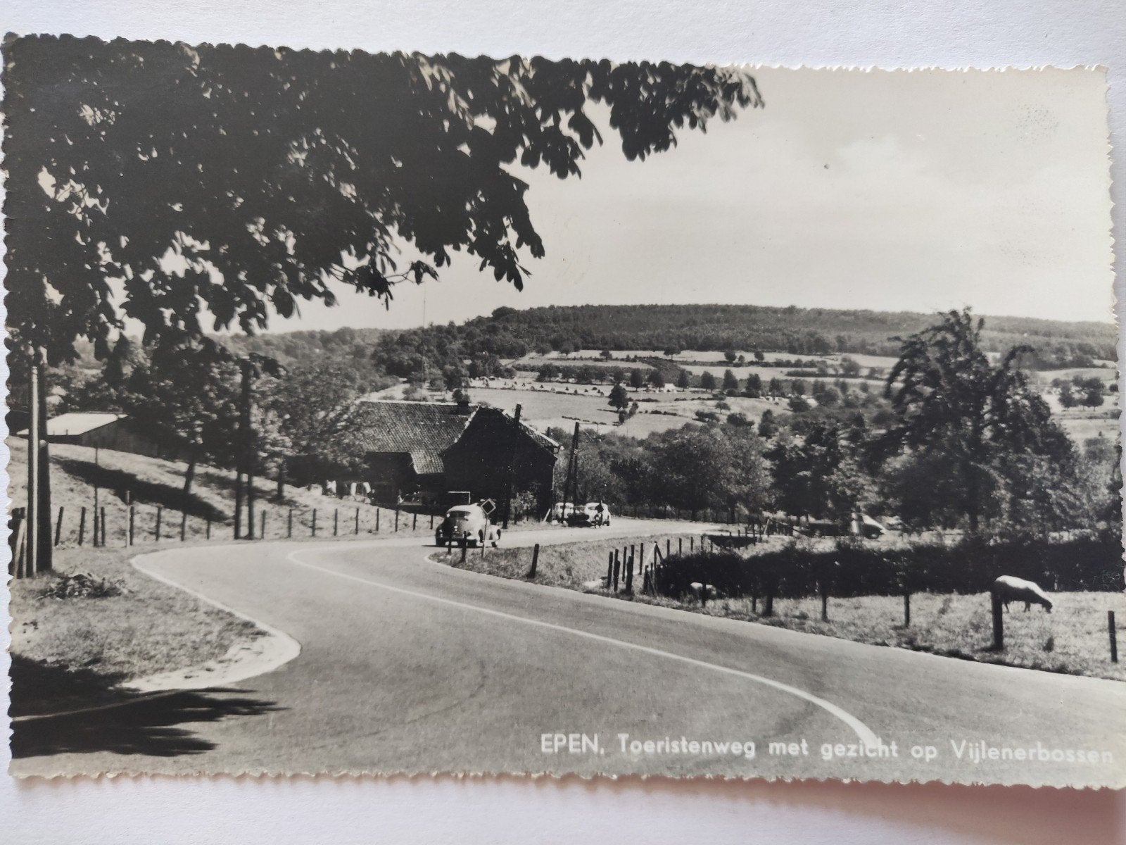 C576 Epen, Ophalen of Verzenden, 1920 tot 1940
