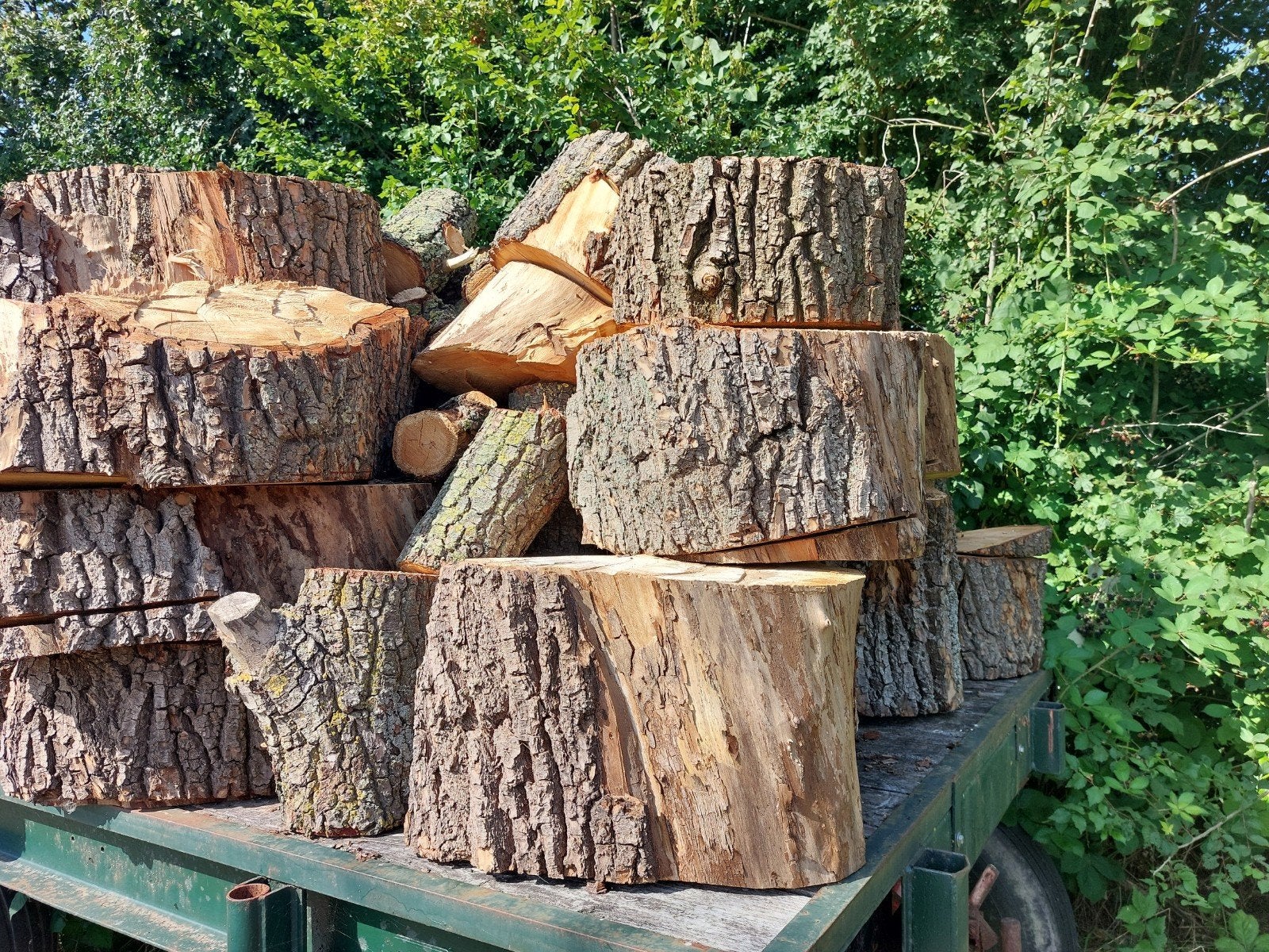 wilgen blokken - Ideaal voor aanmaakhout/ vuurkorf, Tuin en Terras, Haardhout, 6 m³ of meer, Ophalen, Overige houtsoorten, Blokken