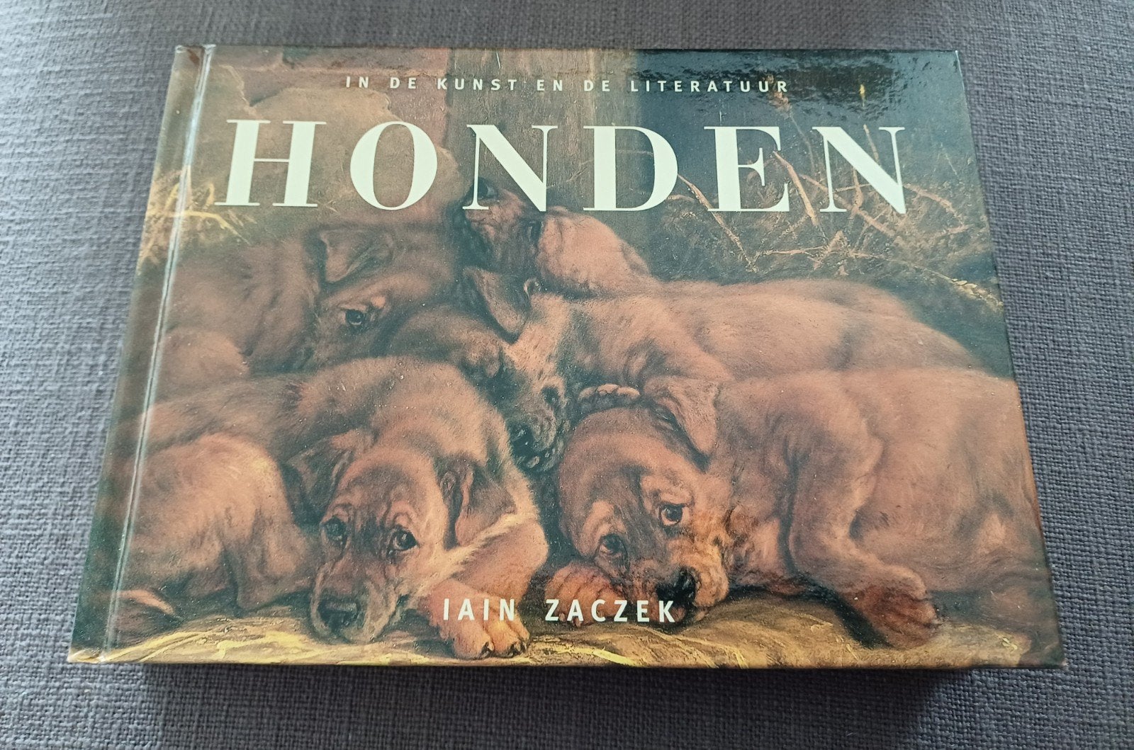Honden in de kunst & literatuur - Salontafelboekje., Ophalen of Verzenden, Zo goed als nieuw, Honden