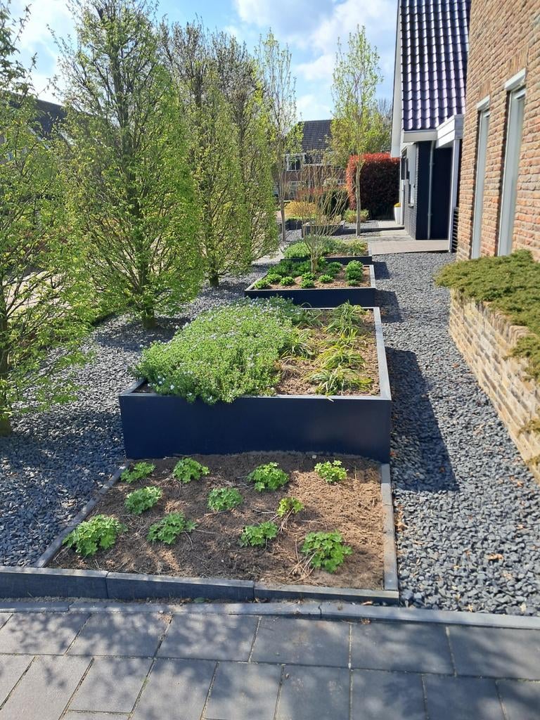 metalen plantenbakken voor buiten, 100 cm of meer, Vierkant, Nieuw, Ophalen of Verzenden