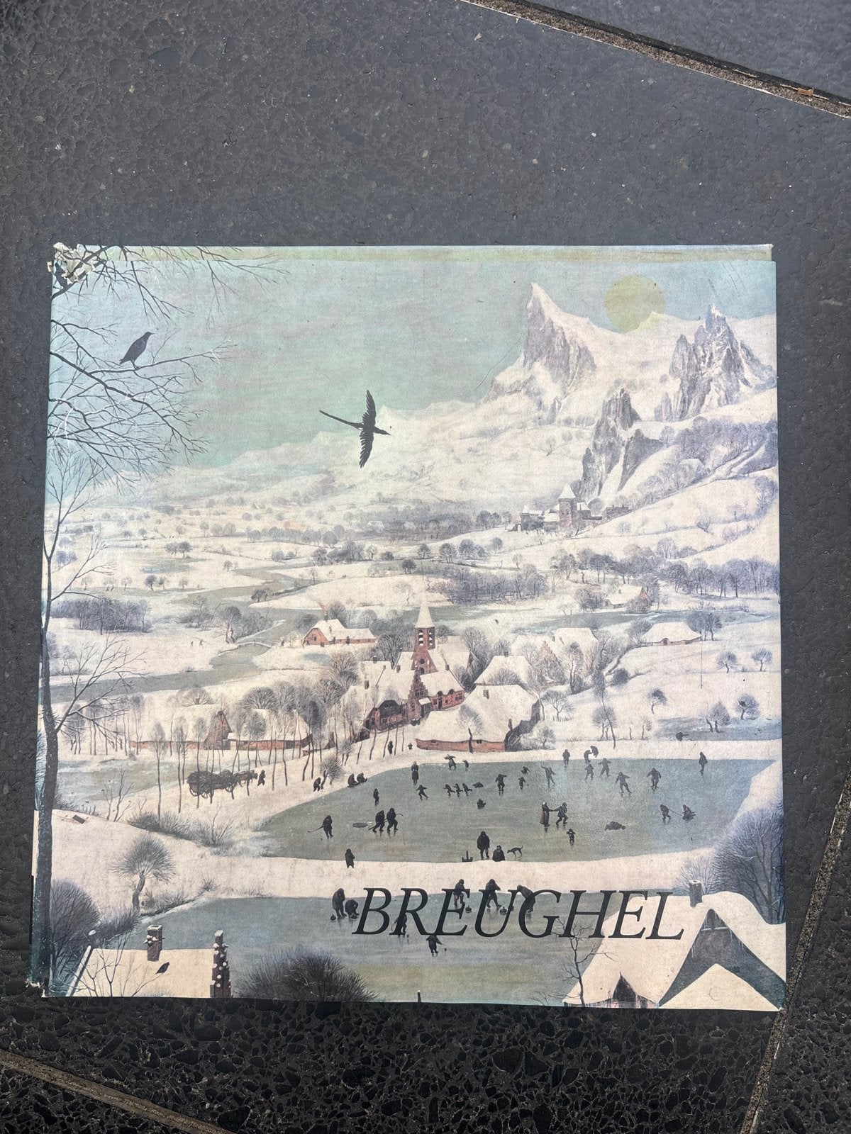 Brueghel Kunstboek - Winterlandschap met schaatsers, Ophalen of Verzenden, Landschap, Klassiek, Print