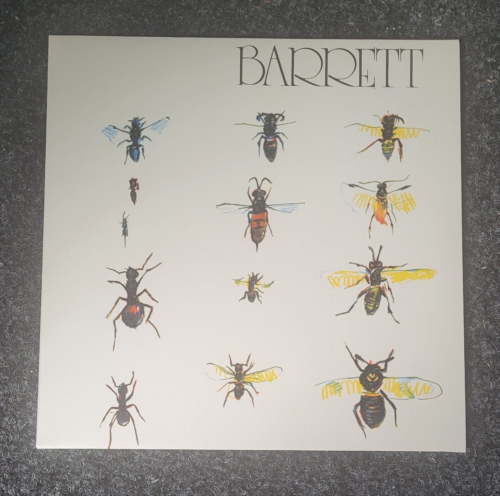 Syd Barrett, Ophalen of Verzenden, Gebruikt, Overige formaten, Poprock