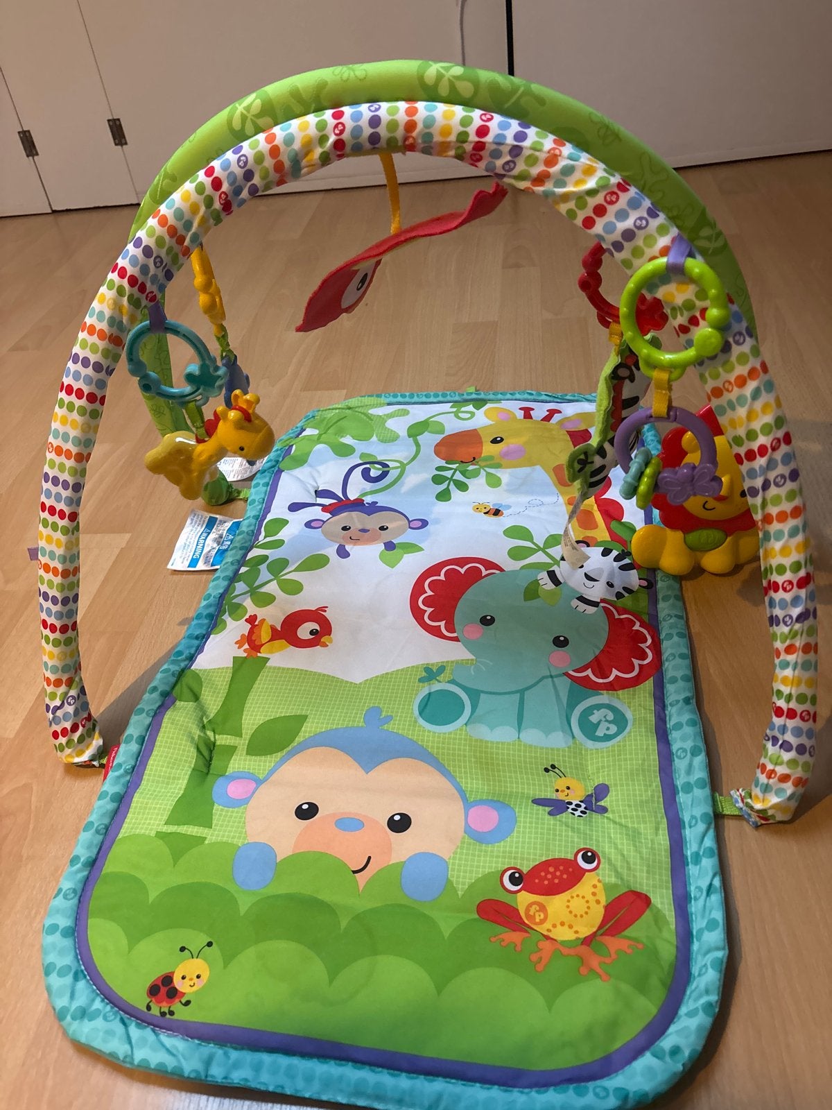 Fisher-Price Speelkleed met geluid en speeltjes, Ophalen, Zo goed als nieuw, Speelkleed, Met geluid