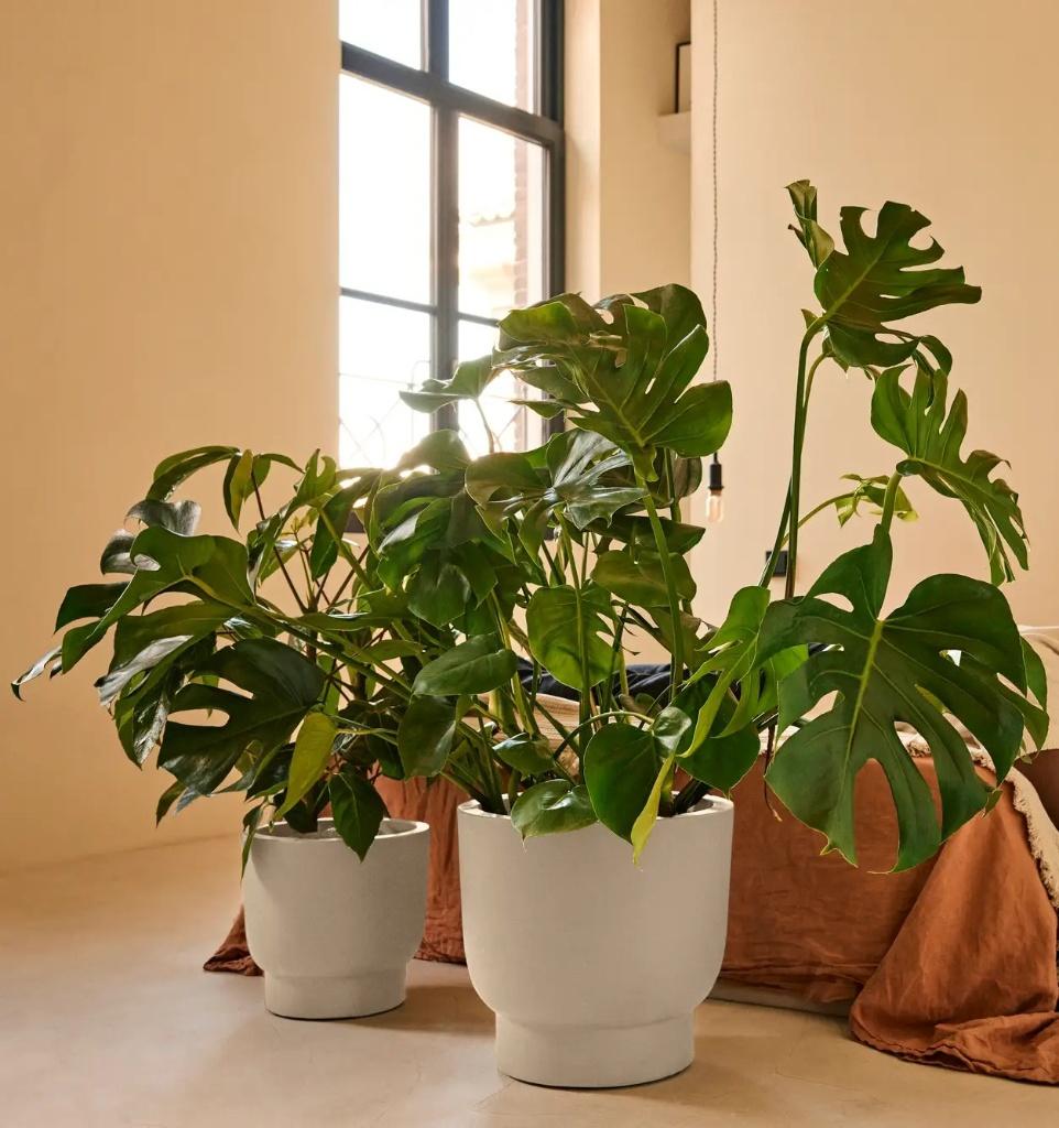 Elho Premium 2x bloempot Amber Grail 30 en 38 linnen wit, Kunststof, Rond, Zo goed als nieuw, Minder dan 40 cm