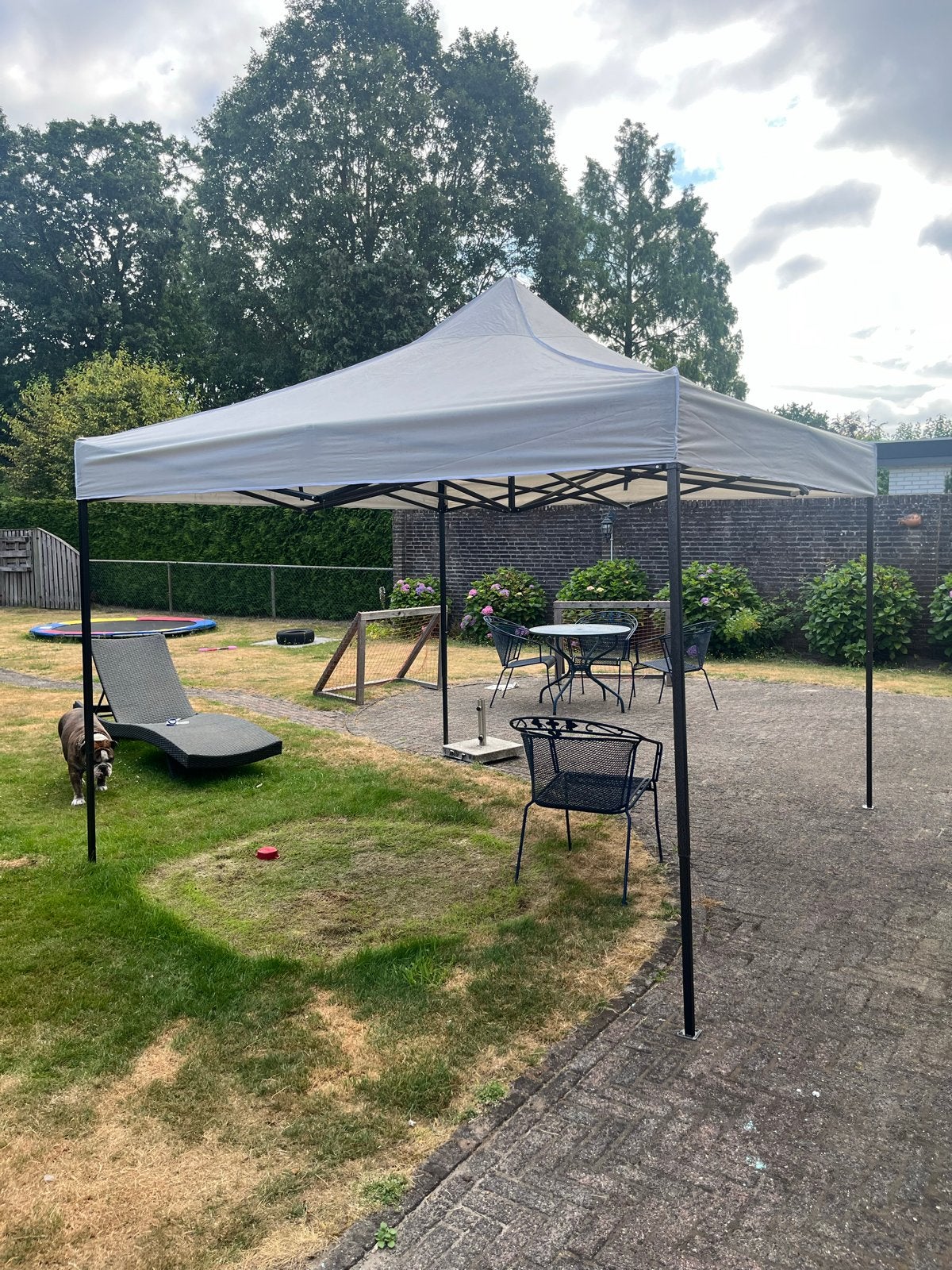 Professionele Partytent / Paviljoen 3x3 meter - Opvouwbaar, Ophalen, Opvouwbaar, Partytent, Minder dan 4 meter