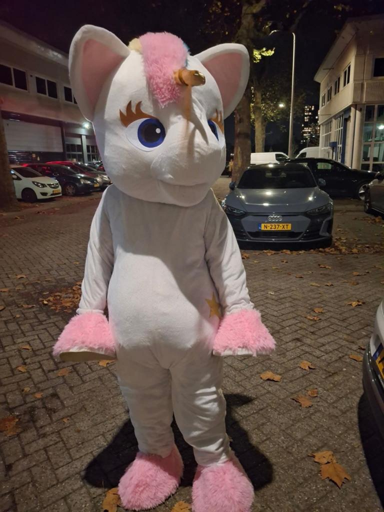 Unicorn mascotte te huur, Ophalen, Zo goed als nieuw, Overige