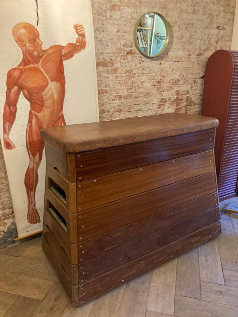 Turnkast gymkast schapenleer top, Maat 36 t/m 42, Ophalen, Gebruikt, Materiaal