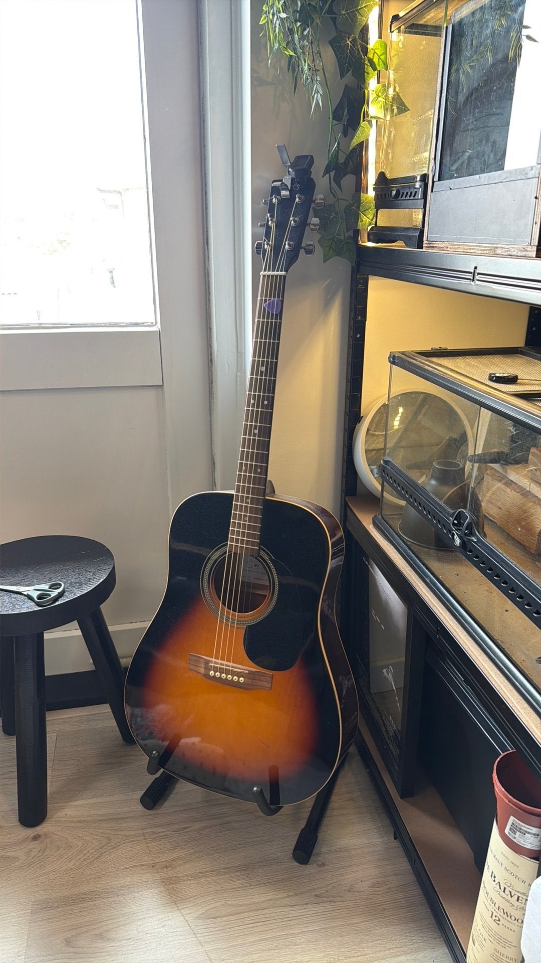 Western gitaar sx guitars, Muziek en Instrumenten, Ophalen, Zo goed als nieuw, Western- of Steelstringgitaar