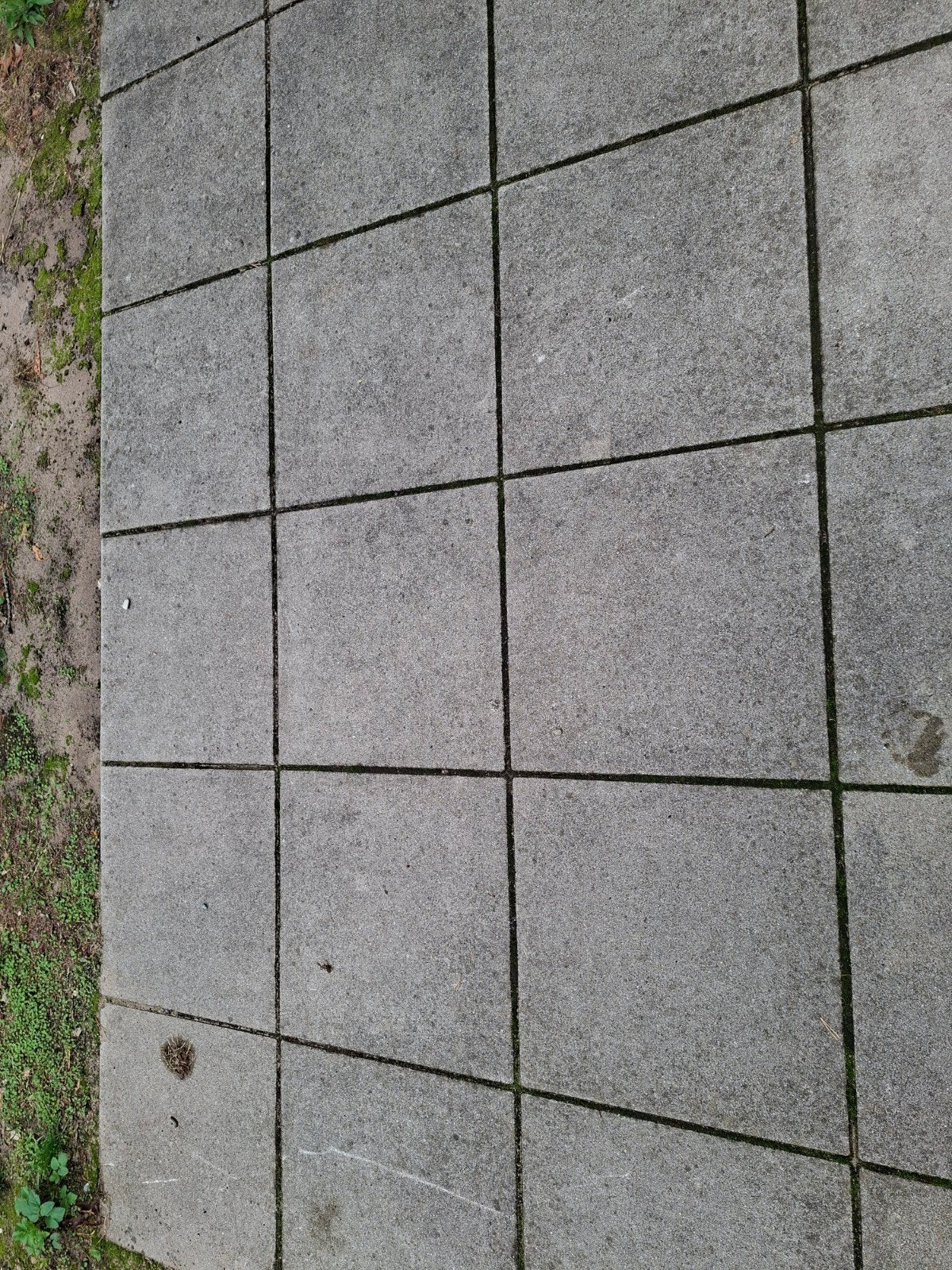 Gratis af te halen: Betontegels 50x50 cm, Tuin en Terras, Tegels en Klinkers, Ophalen, Gebruikt, 10 m² of meer, Beton