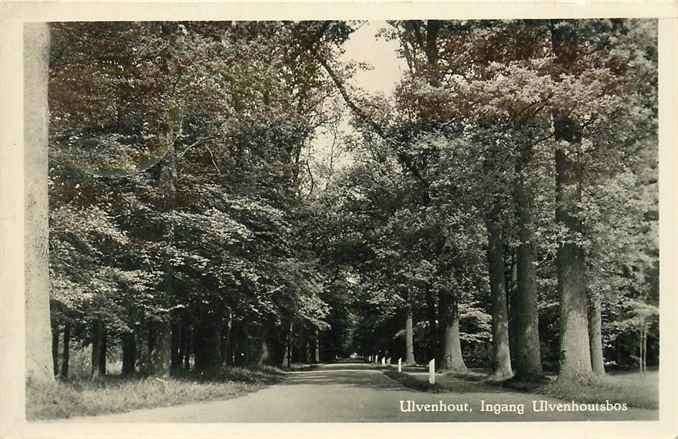 301-379-021 Ulvenhout Ingang Ulvenhoutsbos, Verzamelen, Verzenden, Voor 1920, Noord-Brabant