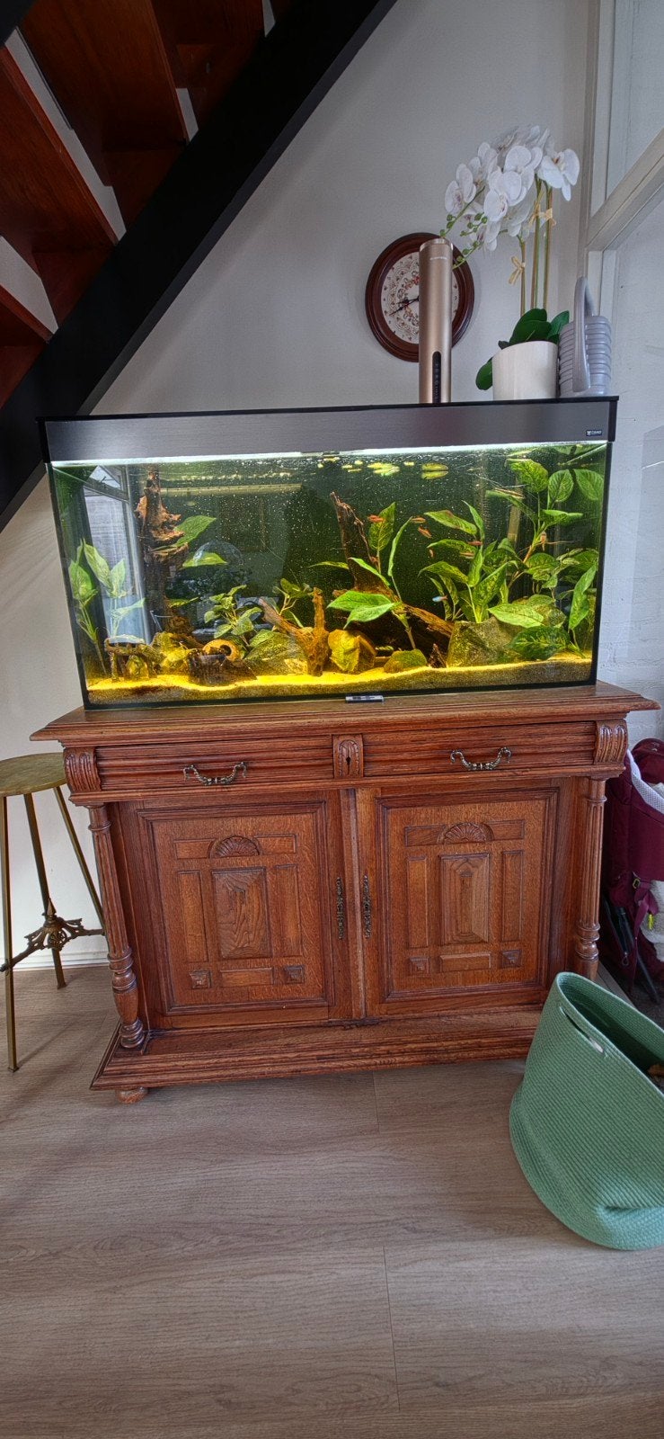 Aquarium met onderkast 120x40x50, Ophalen, Inclusief vissen, Gebruikt, Gevuld zoetwateraquarium