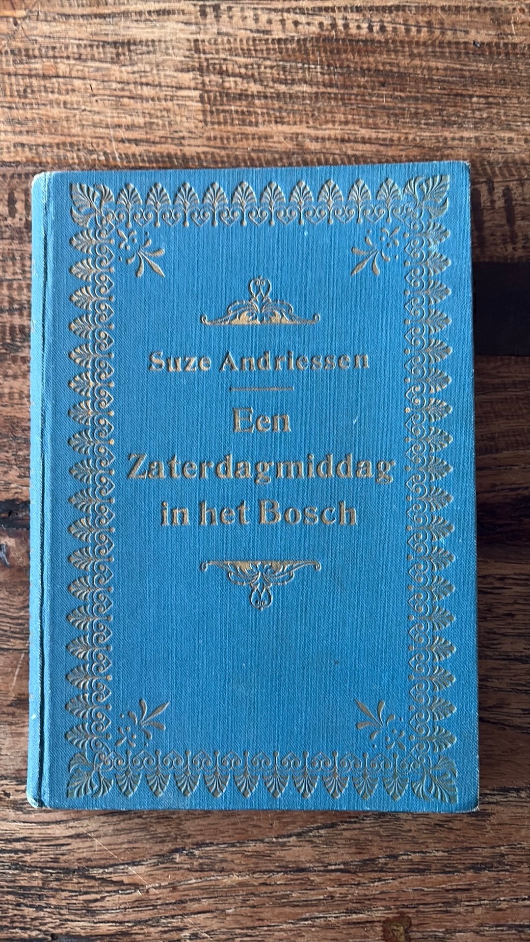 Een zaterdagmiddag in het bosch - Suze Andriessen - 1910, Ophalen of Verzenden
