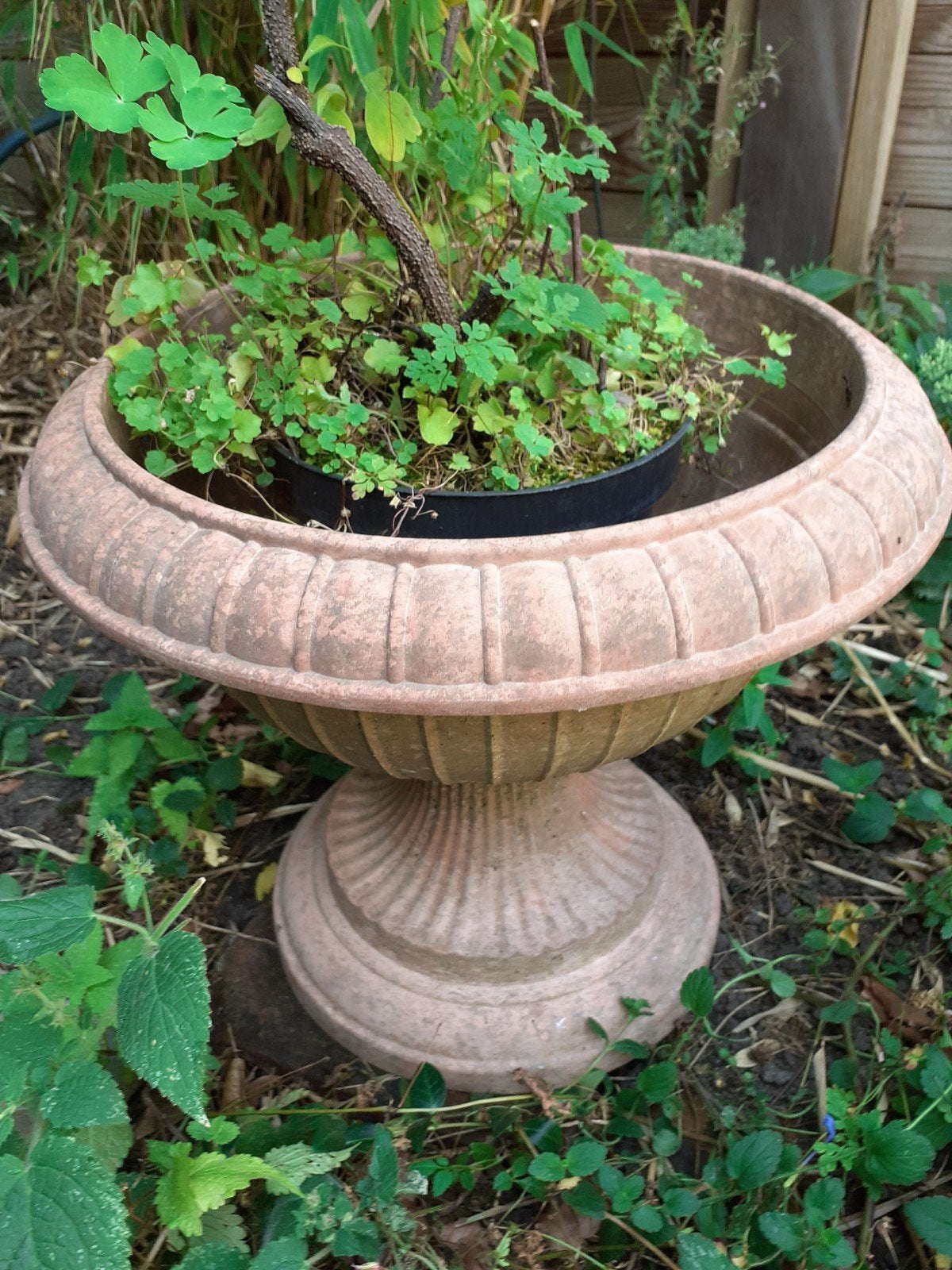 Plastic plantenbak, Tuin en Terras, Tuinvazen, Ophalen