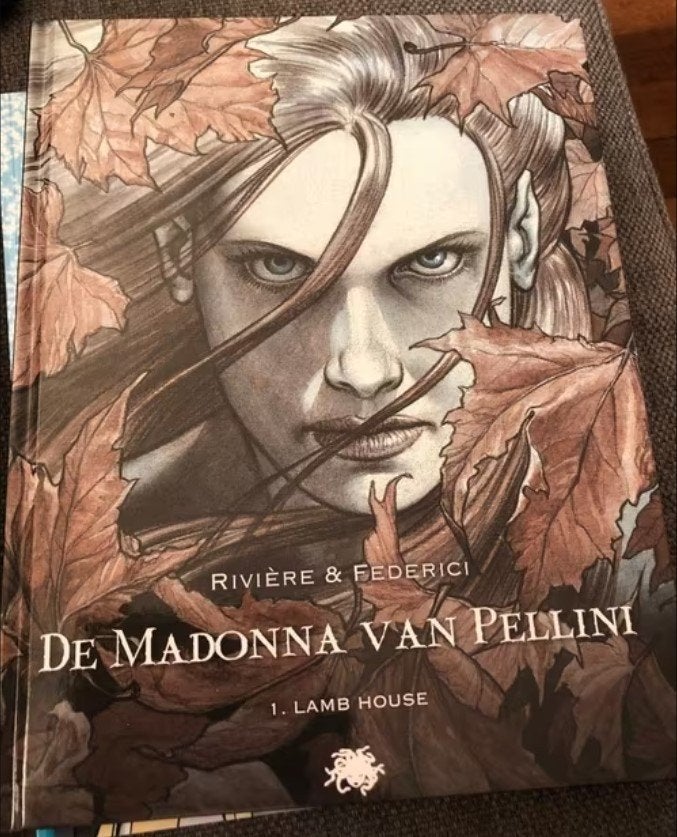 de madonna van pellini lamb house hardcover d10, Eén stripboek, Ophalen of Verzenden, Zo goed als nieuw