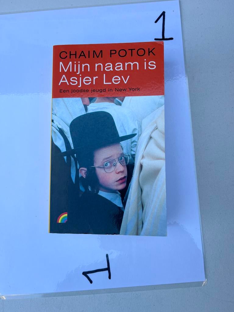 Mijn naam is Asjer Lev - Chaim Potok (Boek), Boeken, Ophalen of Verzenden, Zo goed als nieuw, Amerika