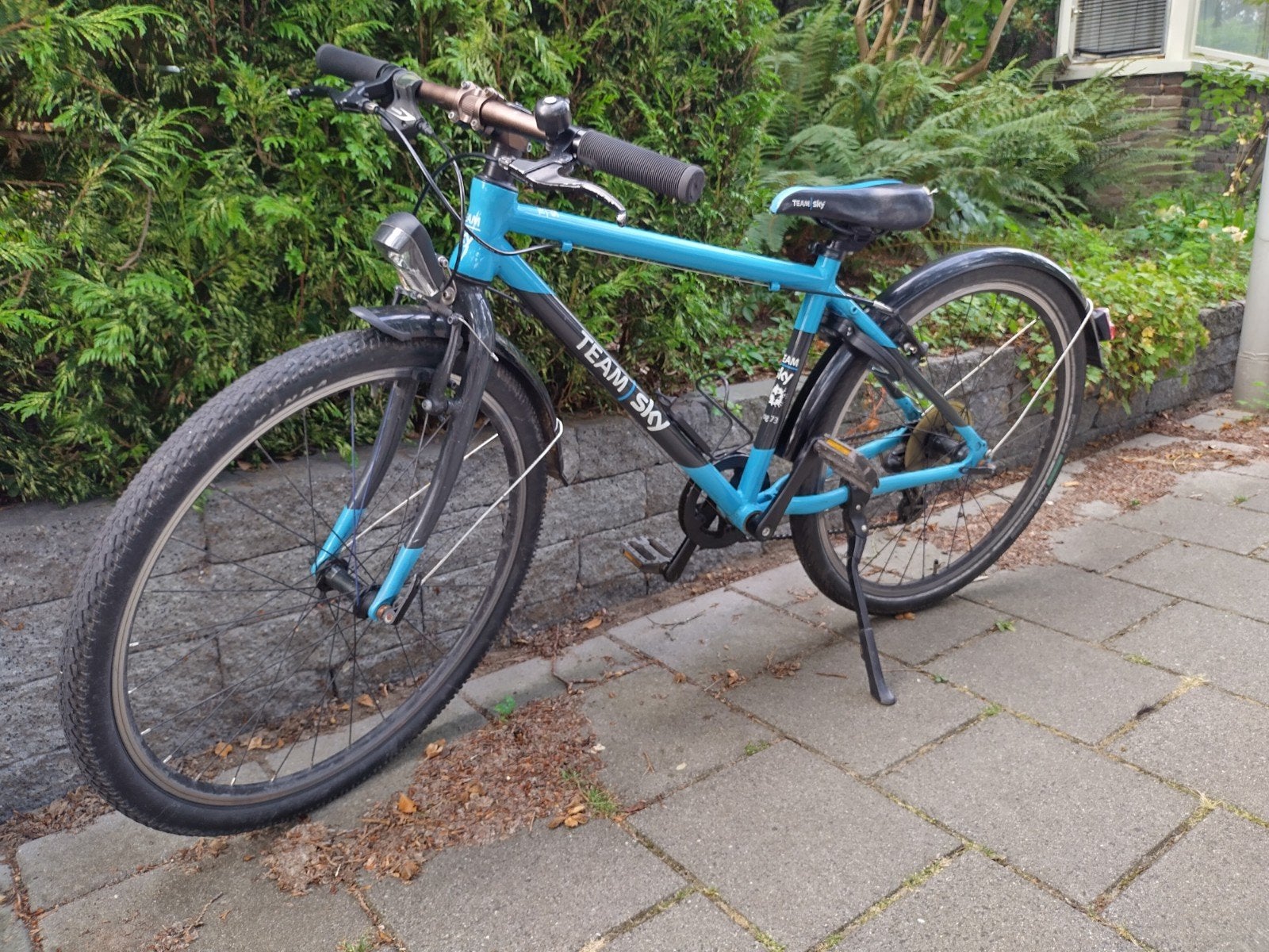 Frog 73 - Team Sky, blauw/zwart, Gebruikt, Velgrem, Versnellingen, Ophalen