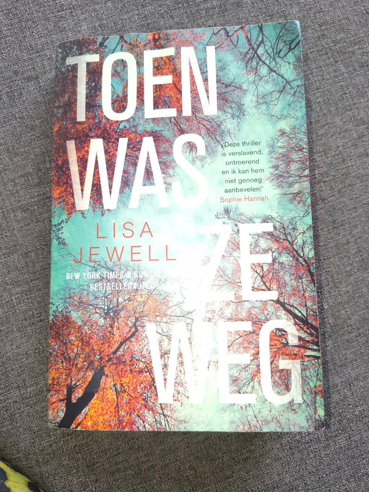Lisa Jewell -  toen was ze weg, Boeken, Ophalen of Verzenden, Gelezen
