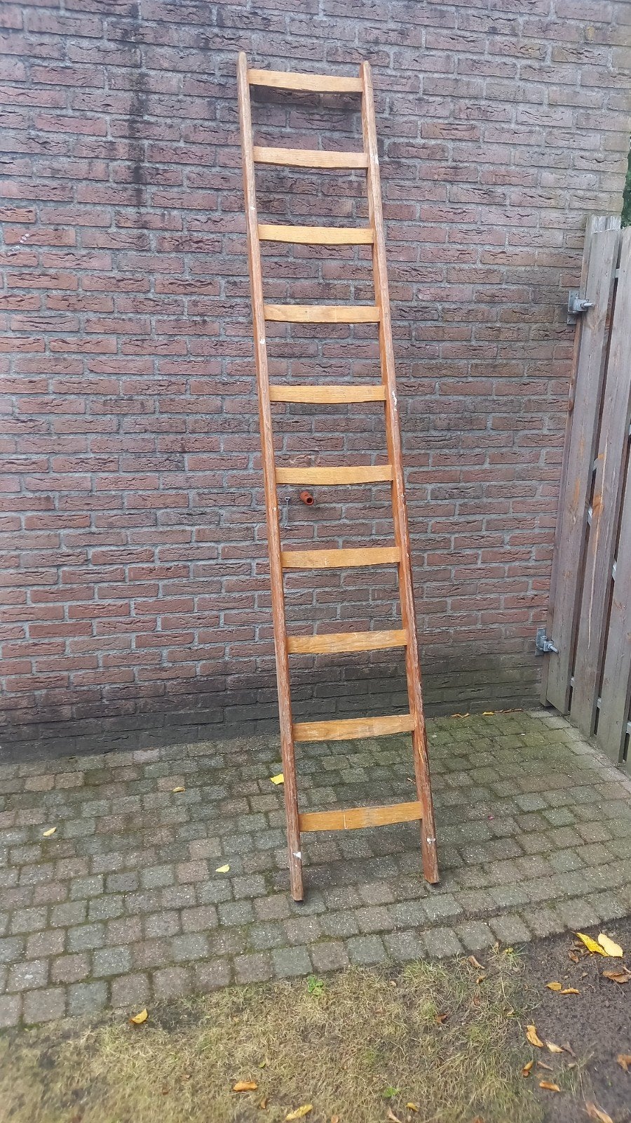 Houten ladder 250 cm - in goede staat, Doe-het-zelf en Verbouw, Ladders en Trappen, Ophalen of Verzenden, Gebruikt, Ladder, 2 tot 4 meter