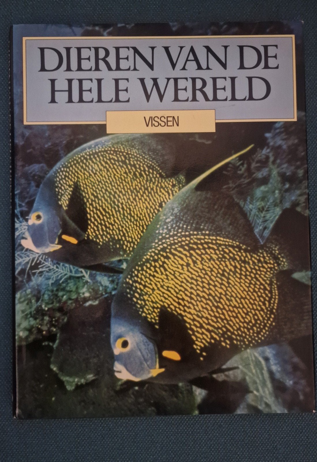 Dieren van de hele wereld Vissen, Boeken, Dieren en Huisdieren, Ophalen of Verzenden, Zo goed als nieuw, Vissen