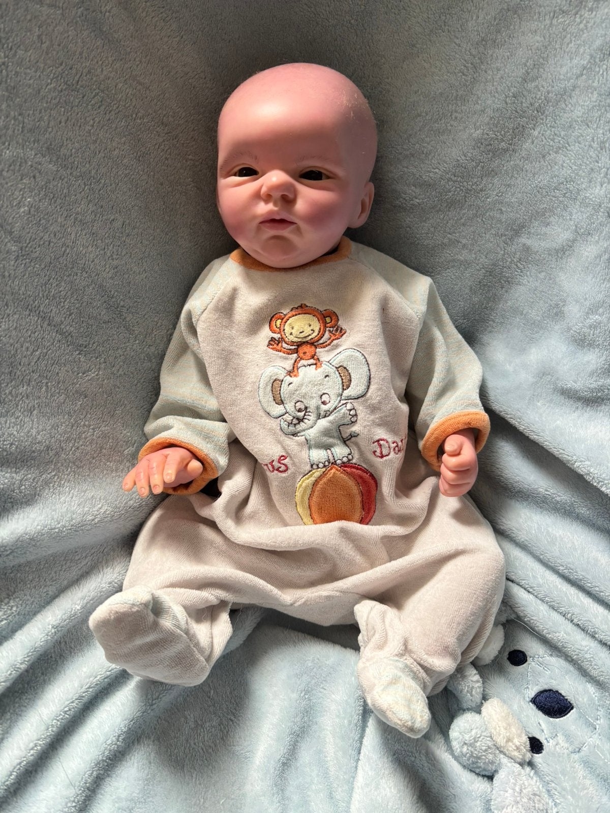 reborn, Verzenden, Zo goed als nieuw, Pop